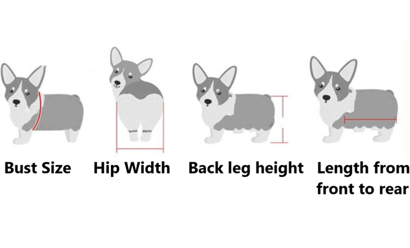 Adjustable Pet Wheelchair for Mobility - LessBarriers