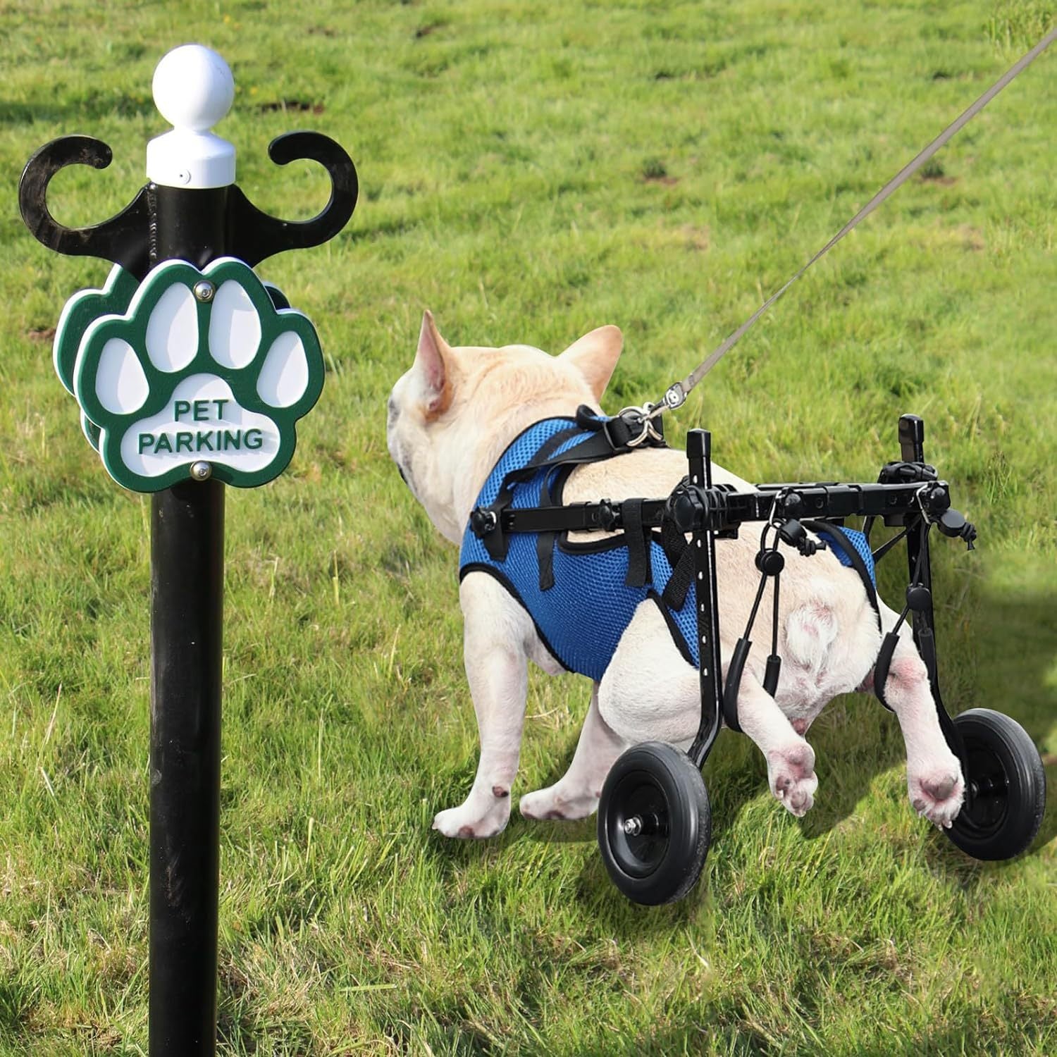 Adjustable Pet Wheelchair for Mobility - LessBarriers