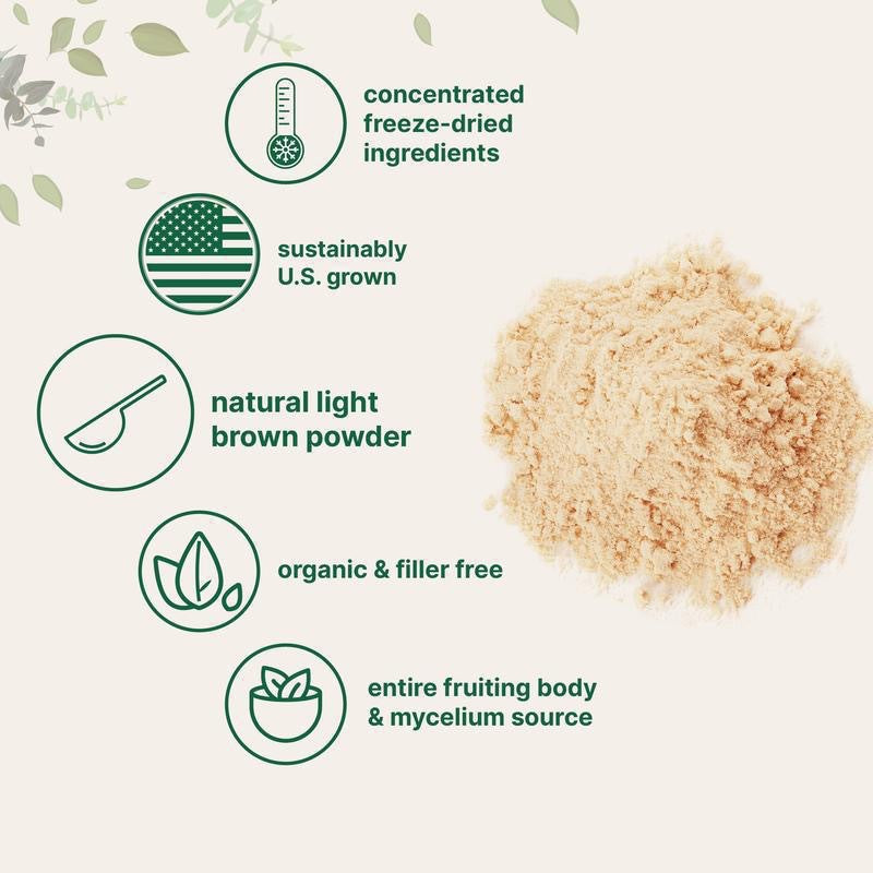 Brain Nourishing Lion's Mane Mushroom Supplement - LessBarriers