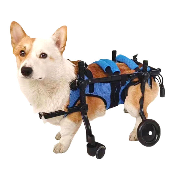 Adjustable Pet Wheelchair for Mobility - LessBarriers